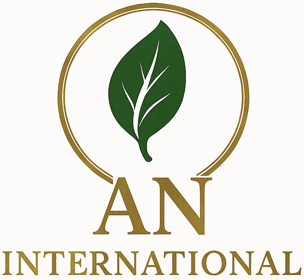 AN International Logo